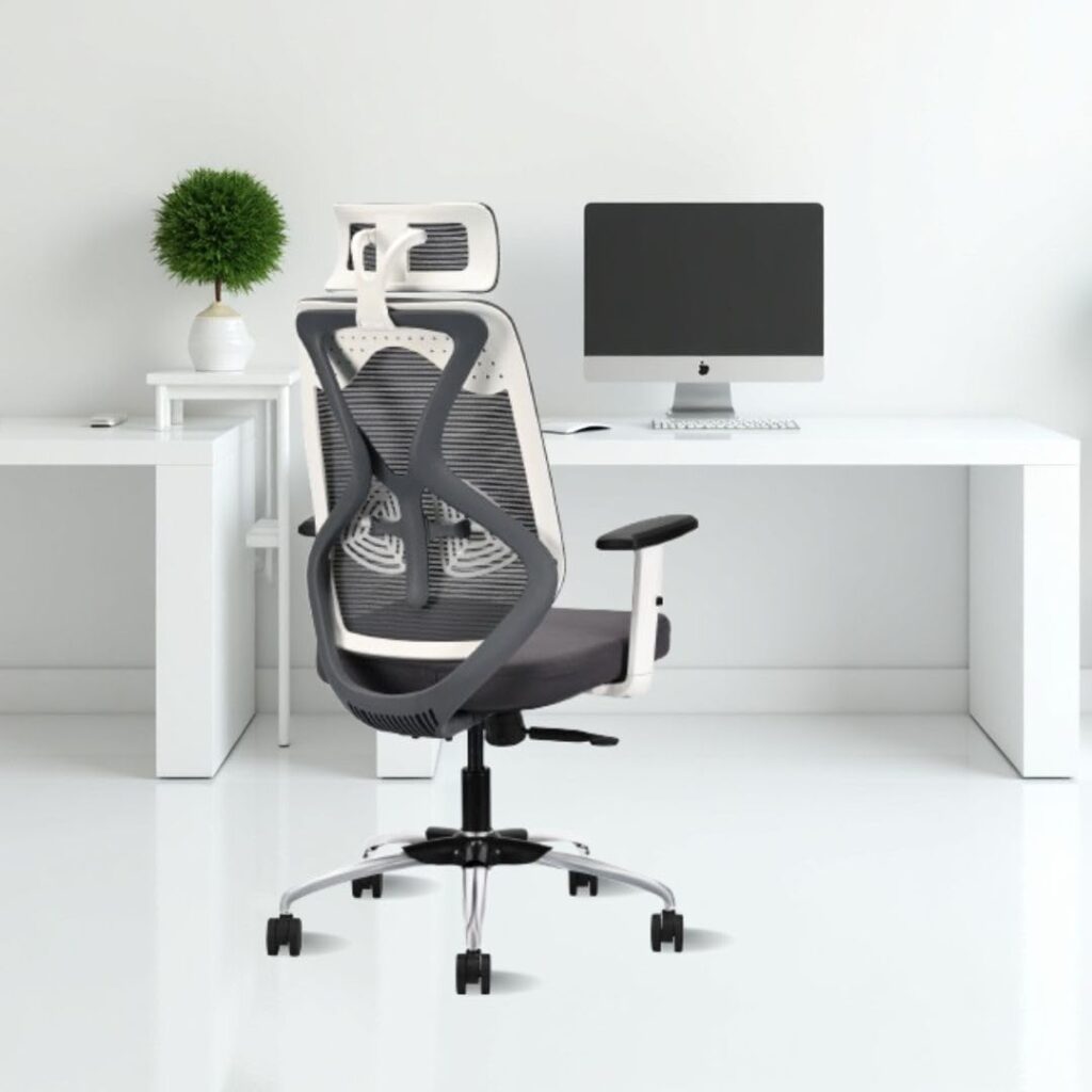 Ergolux High Back Ergonomic Office & Study Chair