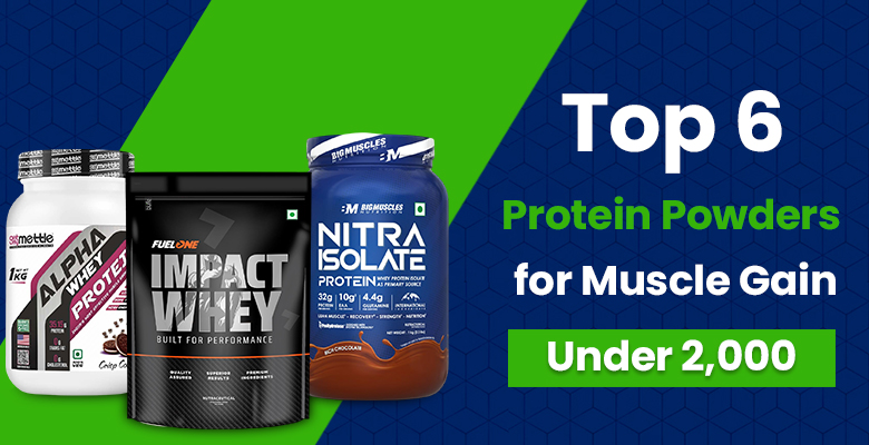 Top 6 Protein Powders for Muscle Gain Under 2000