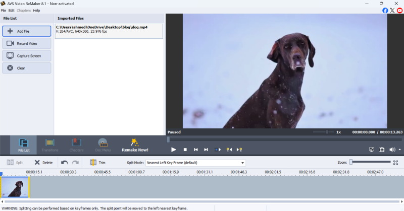 AVS Video Remaker