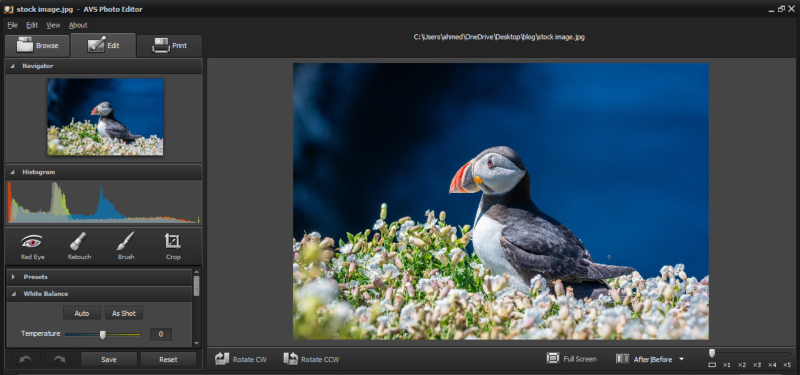 Edit images with AVS Photo Editor