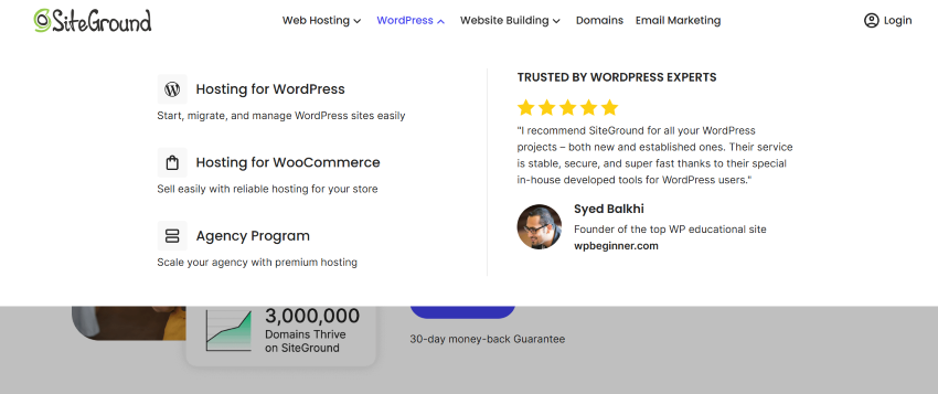 SiteGround web hosting