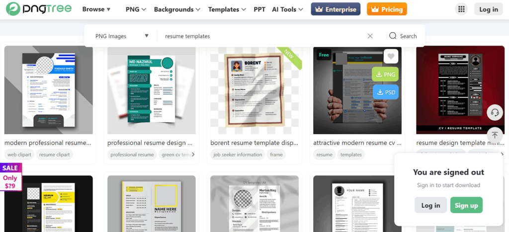 Pngtree resume templates for students