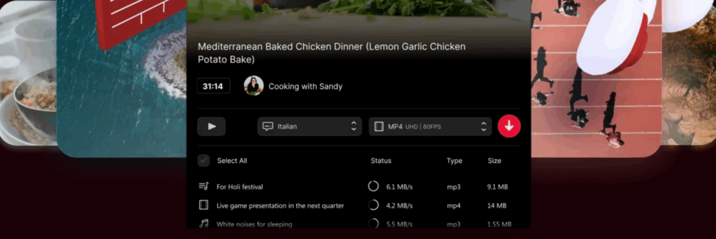 Viddly YouTube Video Downloader