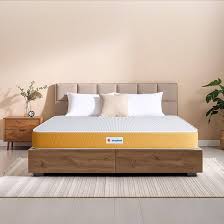 Sleepwell Dual Mattress