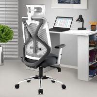Astride Ergofit Ergonomic Office Chair