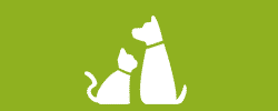 Pet Products