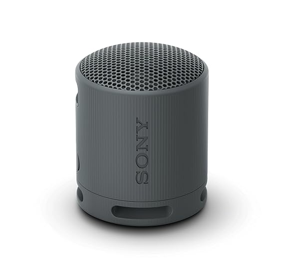 Sony SRS-XB100 Portable Bluetooth Speaker